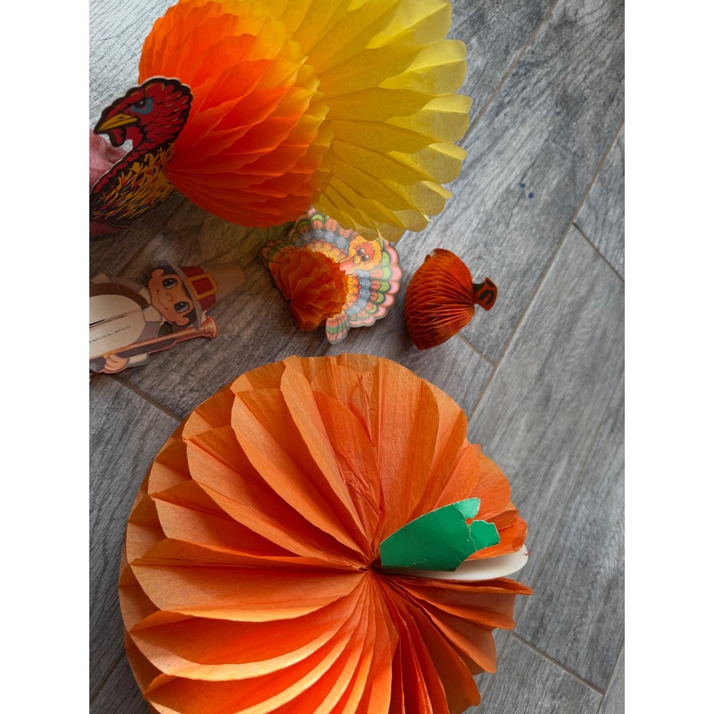 Beistle Honeycomb 5 pc Set Holiday Decor Pumpkin Turkey Vintage USA Tissue Paper